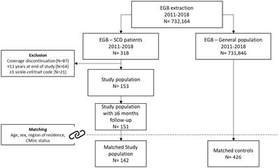 Prevalence and cost of sickle cell disease in France: real-world analysis using data from the Echantillon Généraliste des Bénéficiaires